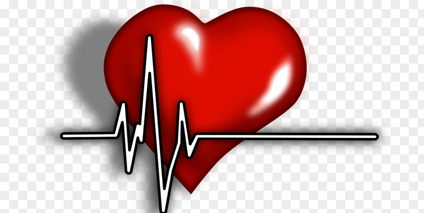 Heart Attack Cardiology Arrhythmia Clip Art PNG