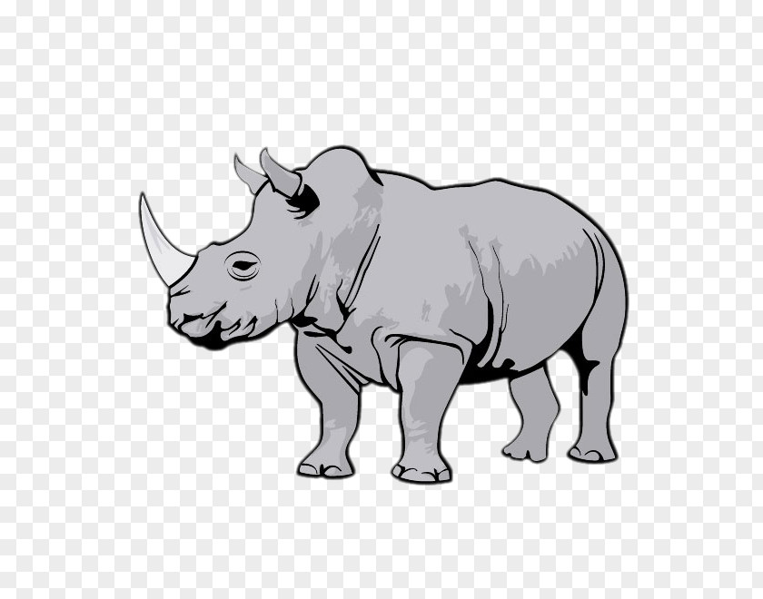 Rhino Creative Rhinoceros Clip Art PNG
