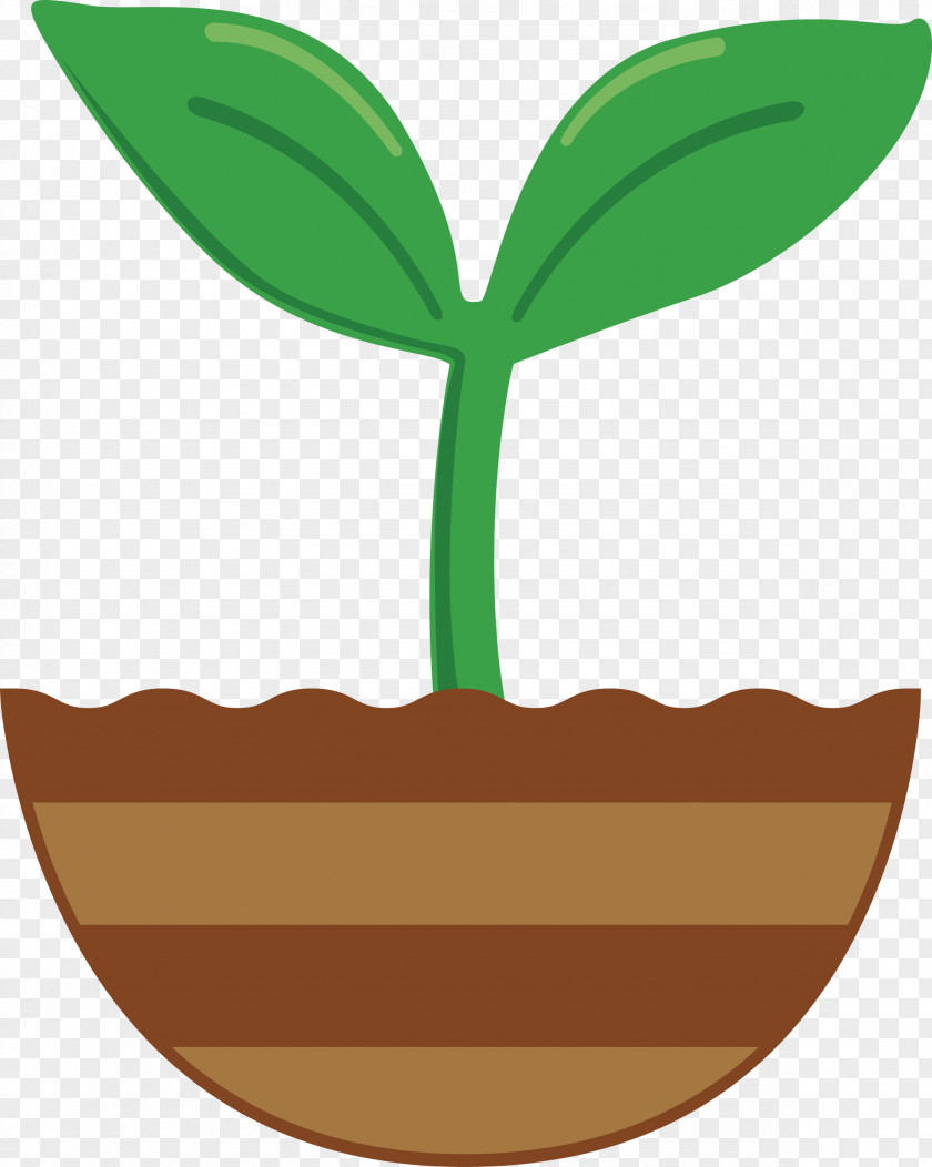 Sprout Bud Seed PNG