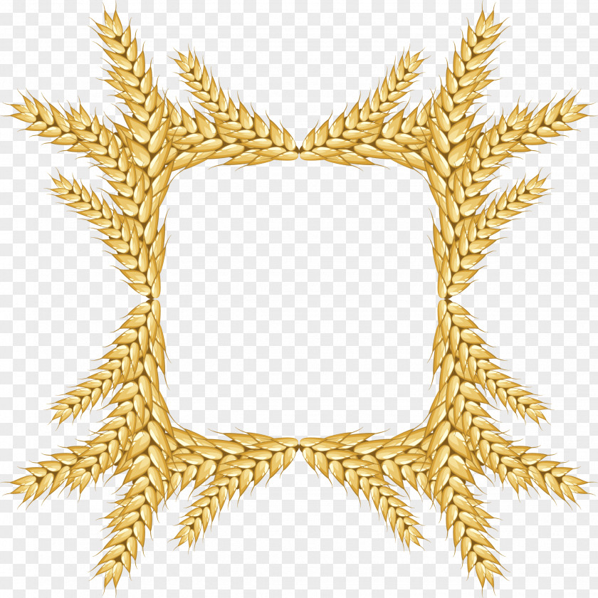 Vector Wheat Euclidean Adobe Illustrator PNG