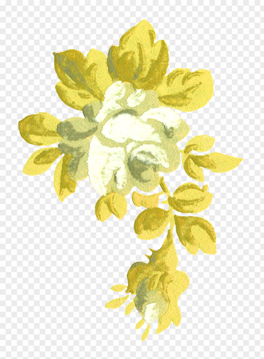 White Rose Cut Flowers Floral Design Petal Food PNG