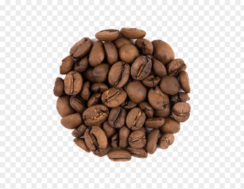 Chocolate PNG