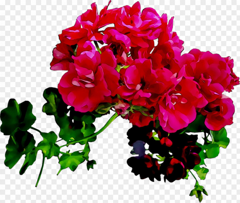 Crane's-bill Floral Design Cut Flowers Flower Bouquet PNG