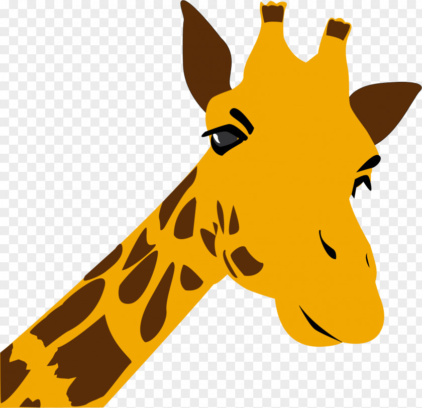 Giraffe Northern Desktop Wallpaper Clip Art PNG