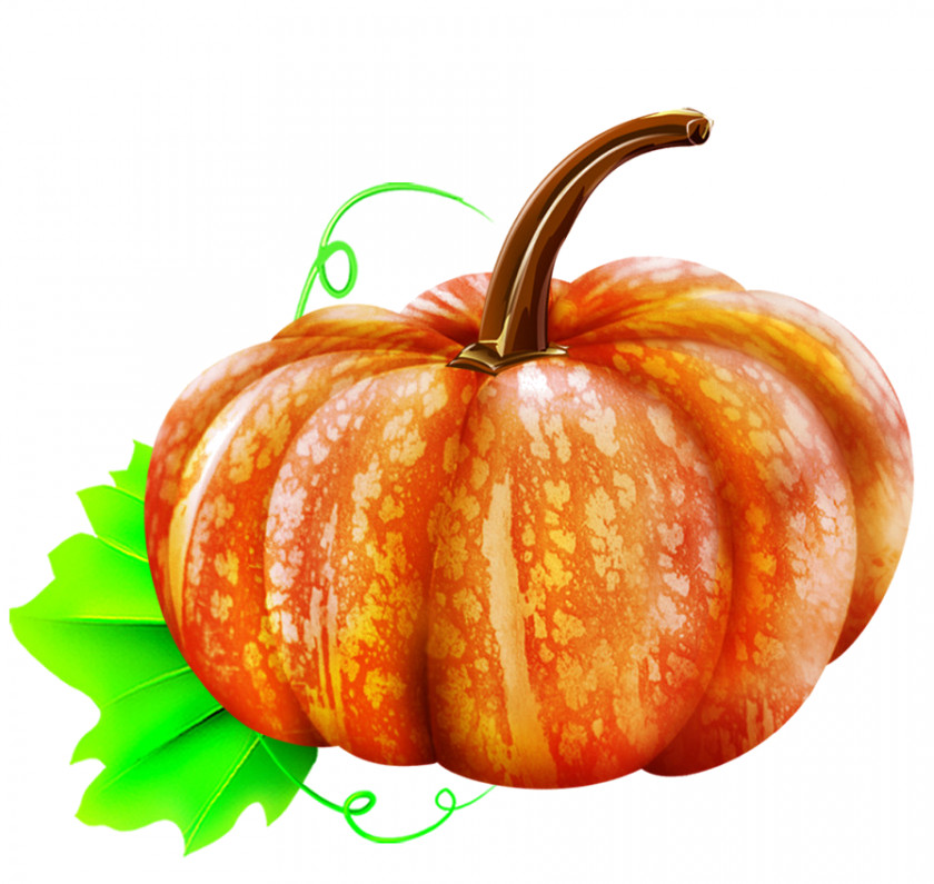 Pumpkin Gourd Vegetable Winter Squash PNG