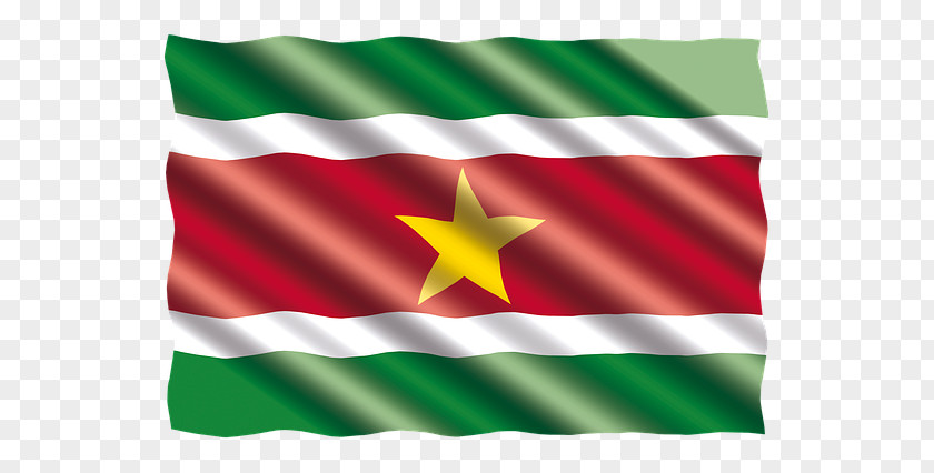 International Ticket Flag Of Suriname United States PNG