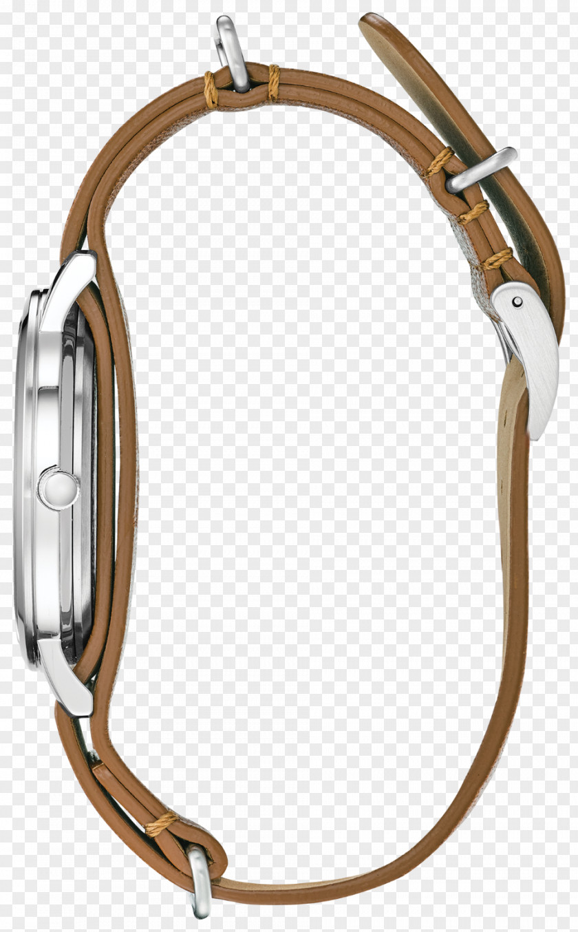 Model Movement Eco-Drive Citizen Watch Holdings Strap PNG