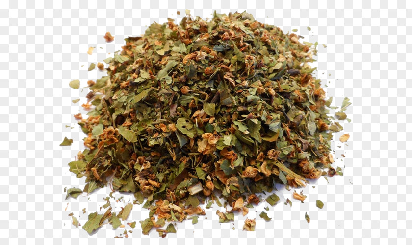 Tea Medicinal Plants Herbalism Infusion PNG
