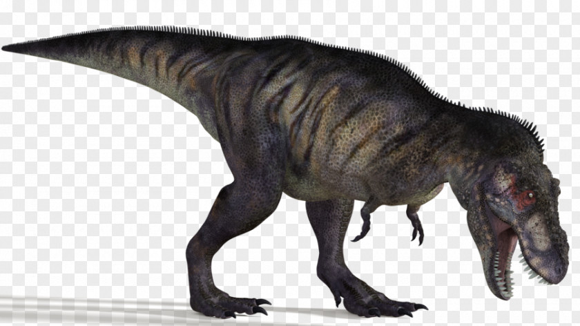 Tyrannosaurus Albertosaurus Bistahieversor Strange Battle Royale 3D Super Ball DZ Edmontosaurus PNG