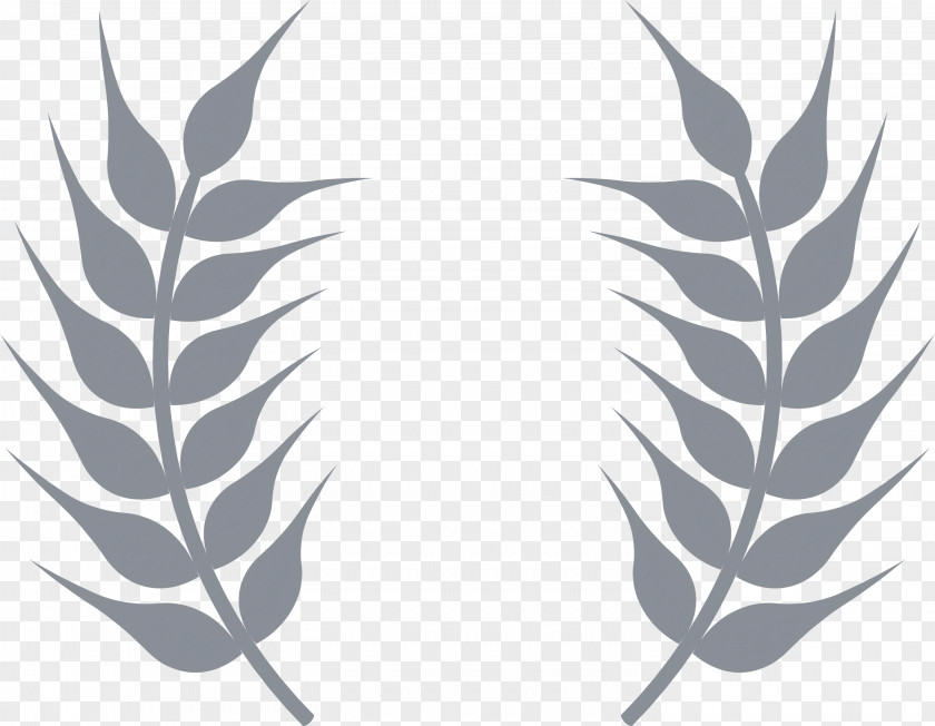 Wheat Ears PNG