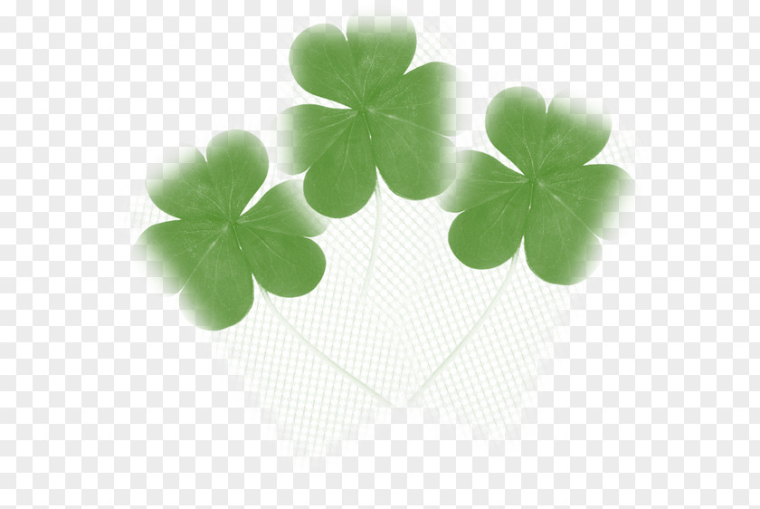 Cloverleaves Shamrock Green Leaf PNG