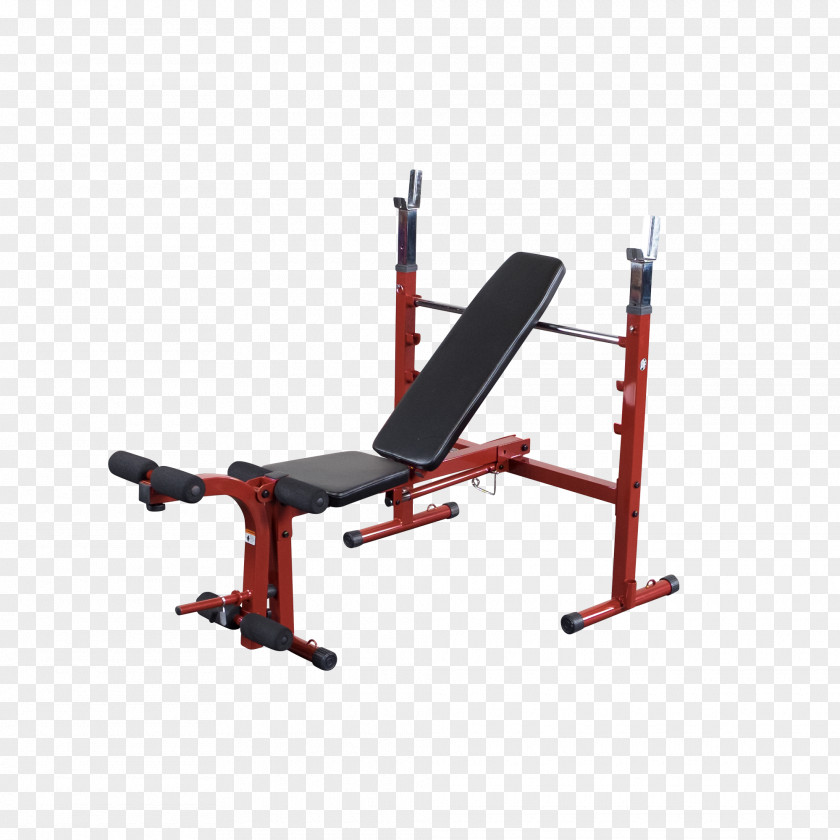 Dumbbell Bench Press Physical Fitness Exercise PNG
