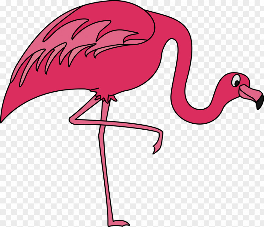 Flamingos Flamingo Clip Art PNG
