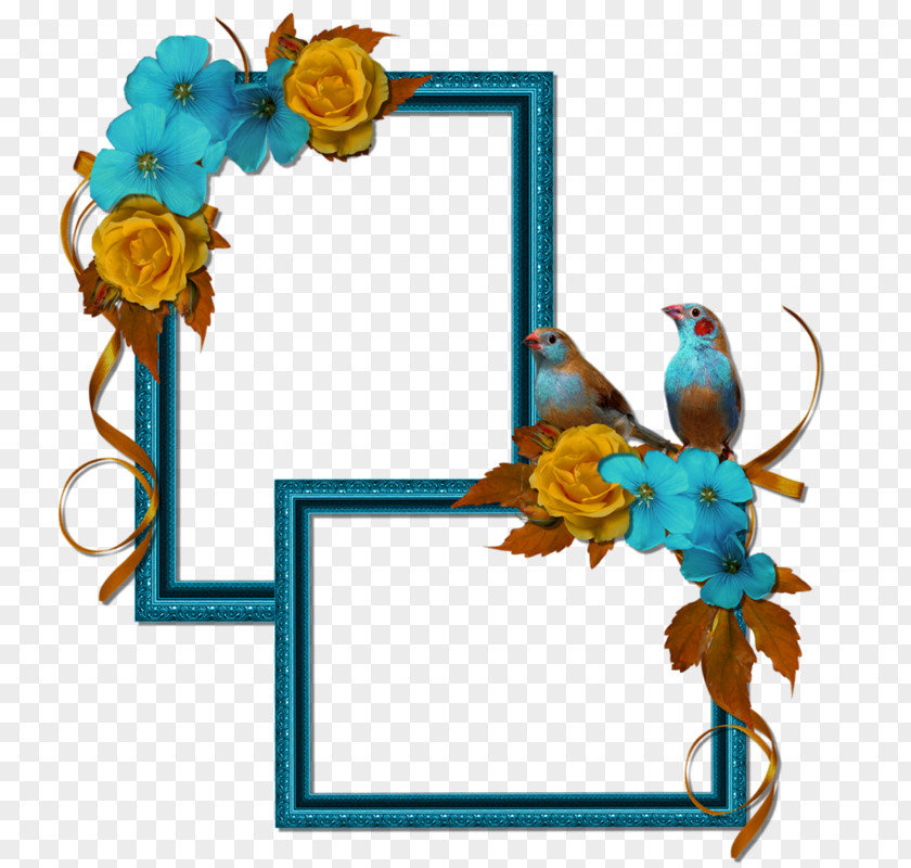 Flower Picture Frames Clip Art PNG