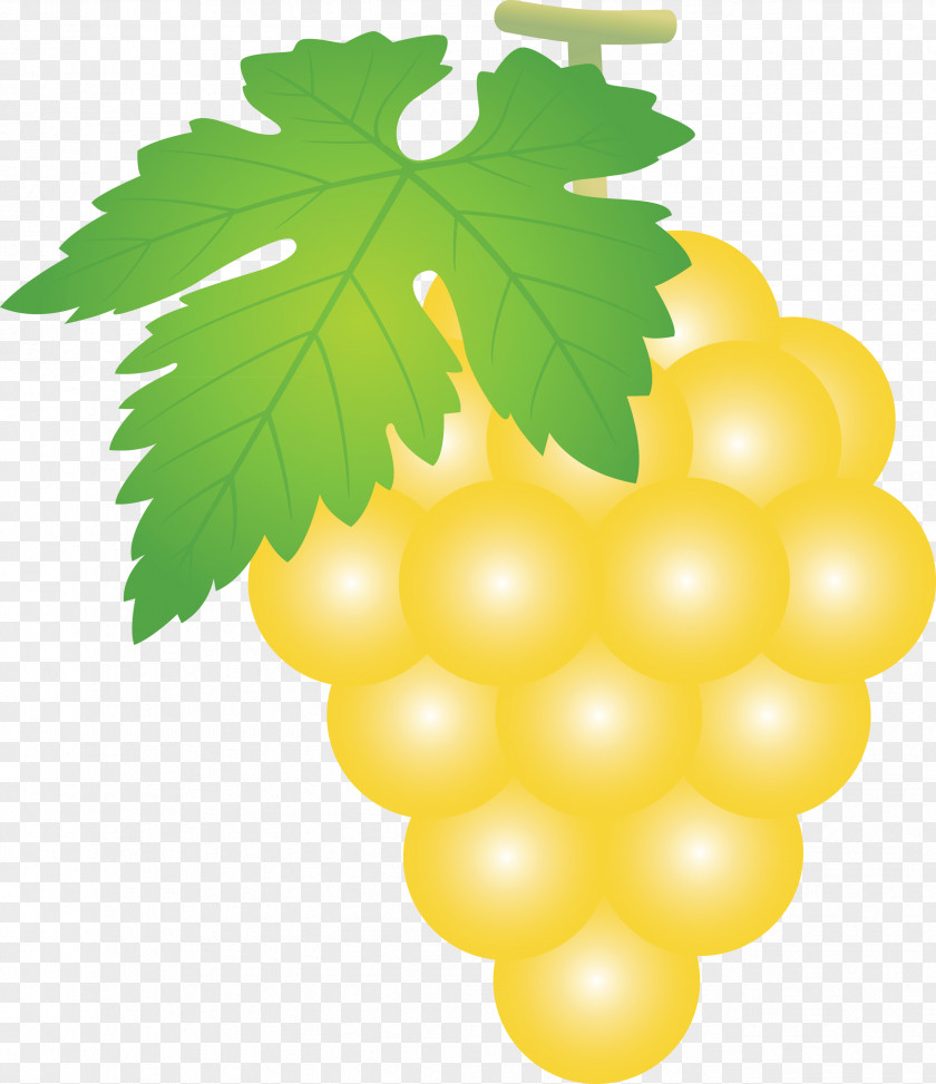 Grape Grapes Fruit PNG