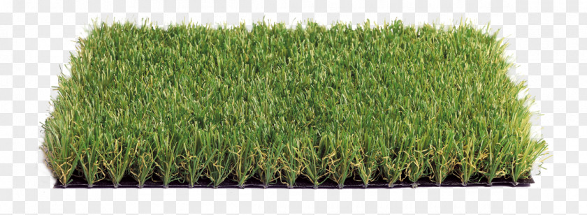 Landscape Green Artificial Turf Garden Lawn Carpet Terrace PNG