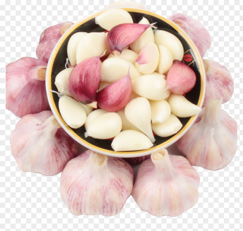 Purple Garlic Vegetable Potato PNG