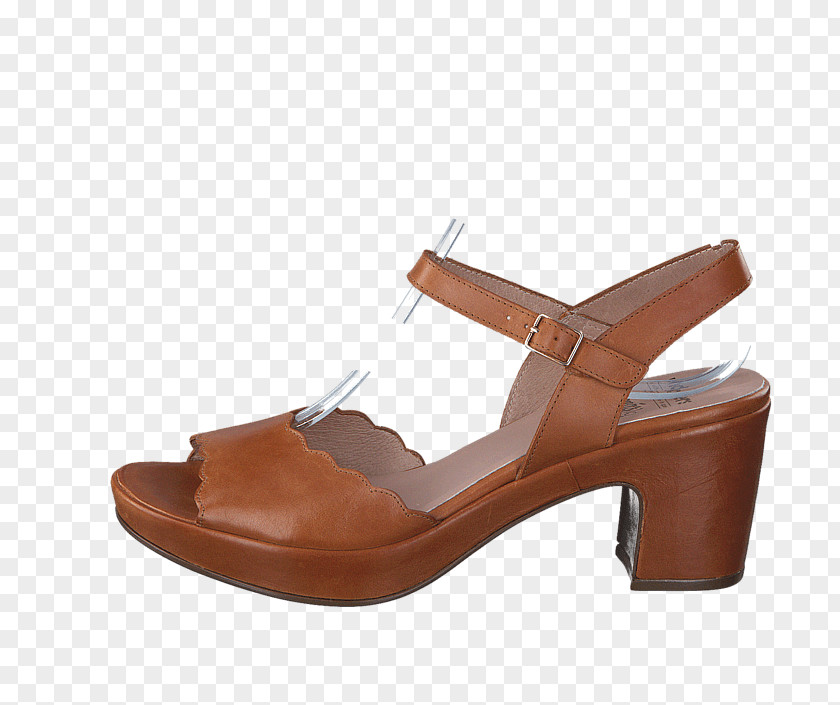 Sandal Slide Shoe Walking Pump PNG