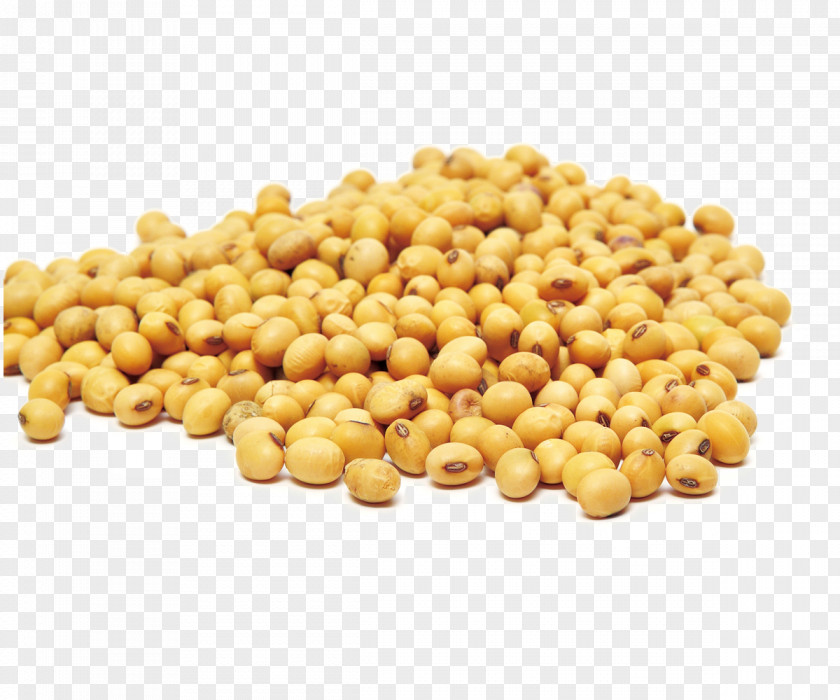 Soy PNG clipart PNG