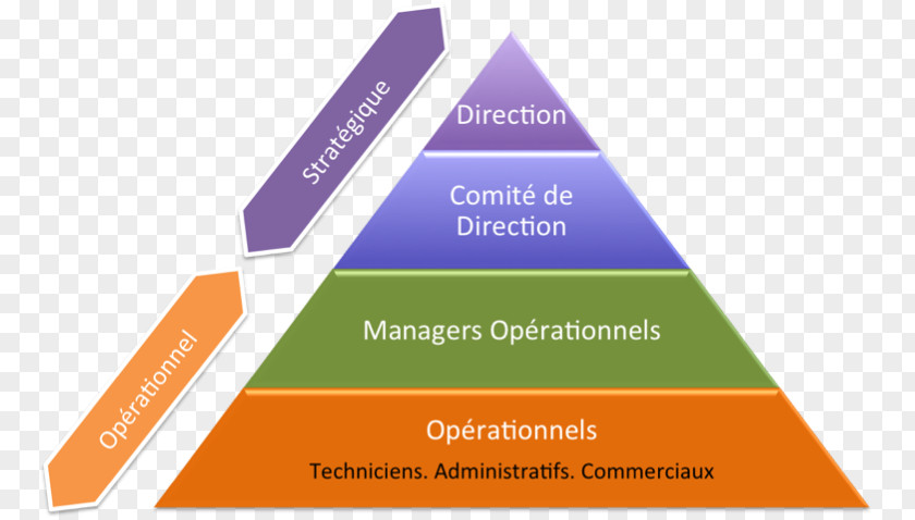 Structural Combination Management Stratégique Organization Natural Environment Orange S.A. PNG