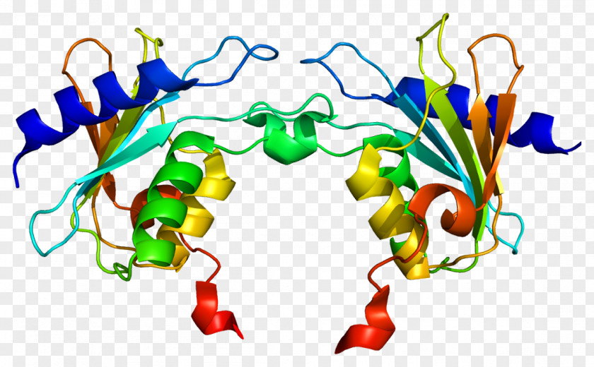 Activation-induced Cytidine Deaminase Deamination Pyrimidine PNG cytidine deaminase Pyrimidine, others clipart PNG