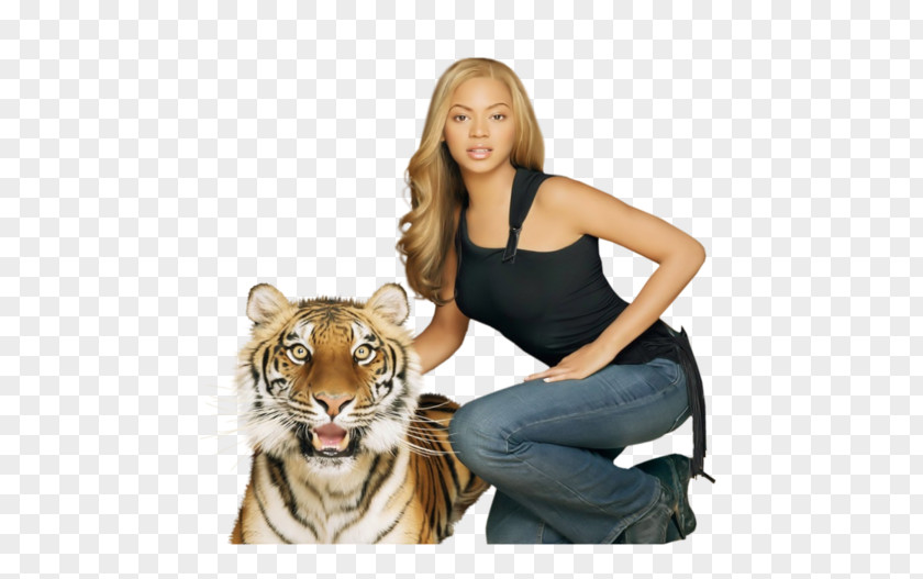 Beyonce Beyoncé Tiger Cat Human Behavior Fur PNG