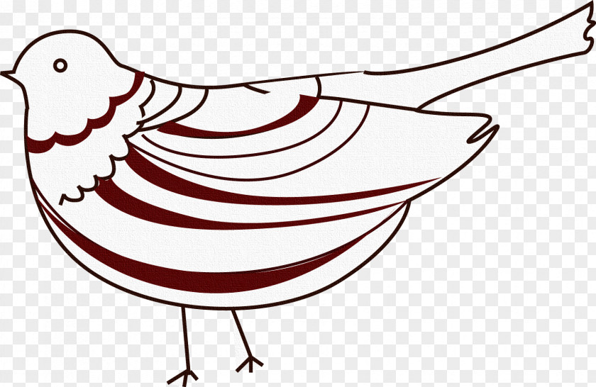 Cartoon Bird Vecteur Clip Art PNG