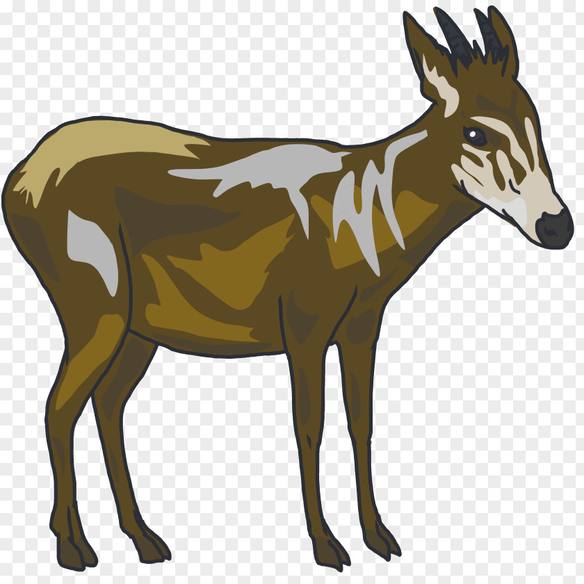 Donkey Elk Musk Deers Antelope PNG