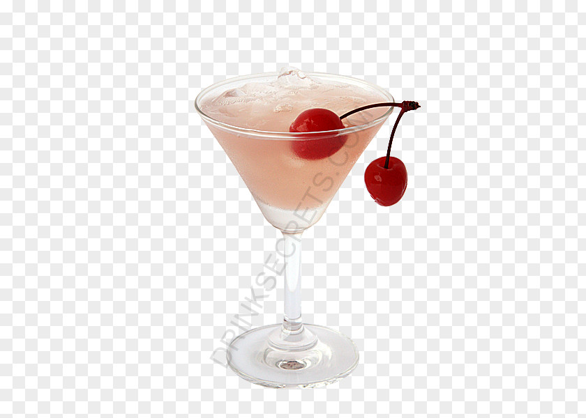 Drinks Night Cocktail Garnish Wine Martini Daiquiri PNG