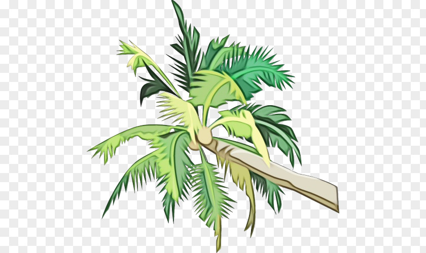 Houseplant Elaeis Coconut Tree Cartoon PNG