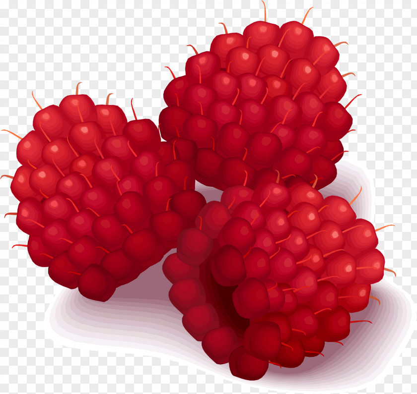Raspberries Macaron Raspberry Clip Art PNG