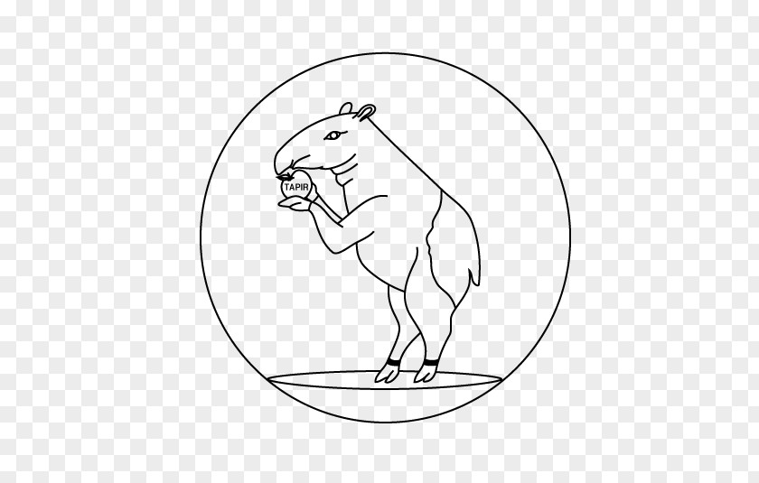 Tapirs Canidae Drawing Line Art Bear Clip PNG