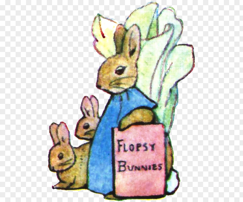 Beatrix Potter Peter Rabbit The Tale Of Domestic Flopsy Bunnies PNG