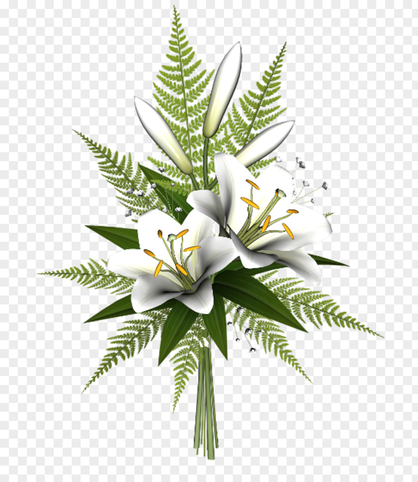 Flower Clip Art PNG