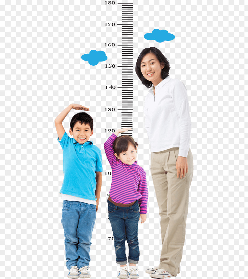 Height Measurement Child Growth Chart Human Calcium PNG