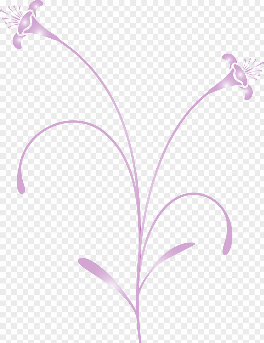 Lavender PNG