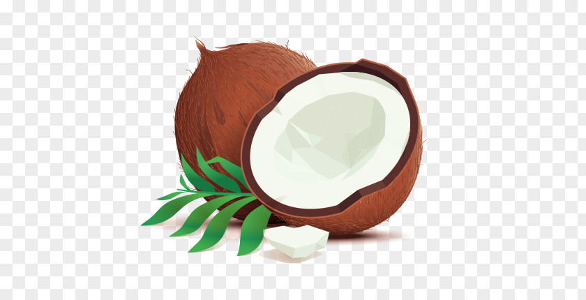 Natural Coconut Oil Water Illustration Drawing Vector Graphics PNG