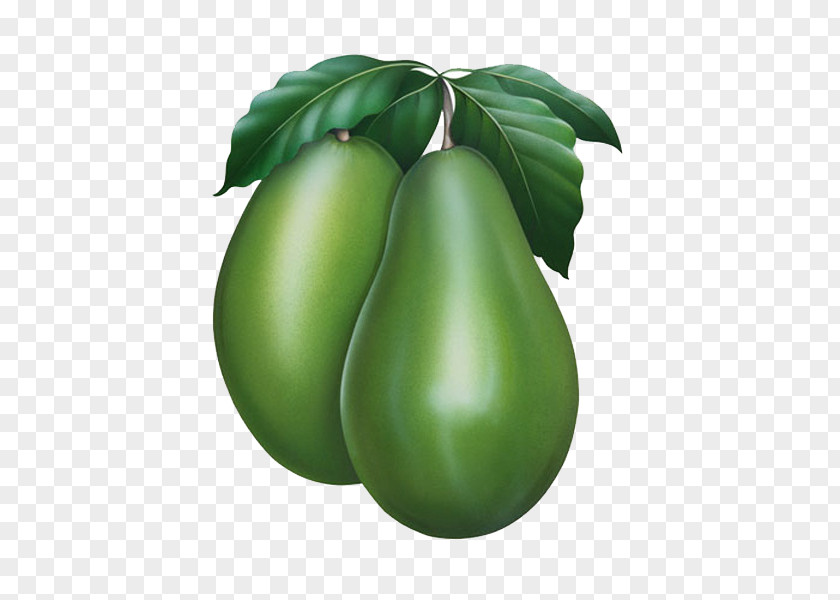 Papaya Download Cartoon PNG