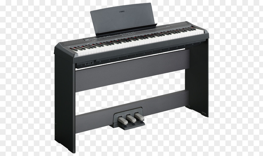 Piano Yamaha P-115 Corporation Digital Keyboard PNG