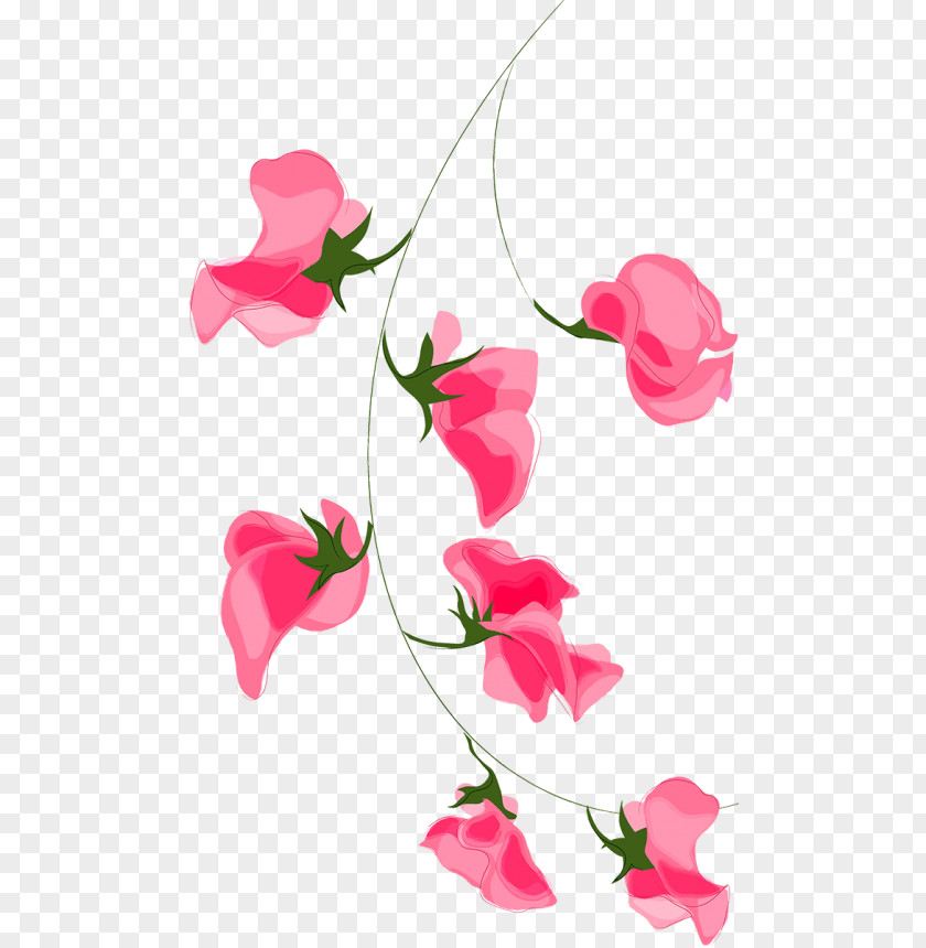 Pink Flowers Rose Red PNG