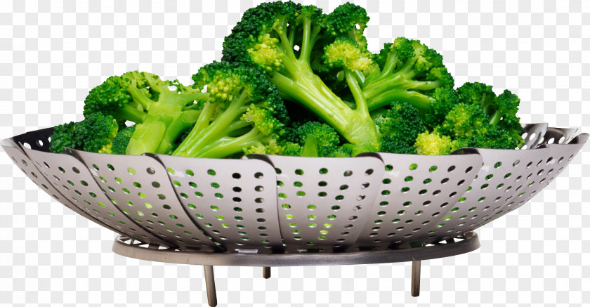 Salad Broccoli Slaw Vegetable Clip Art PNG