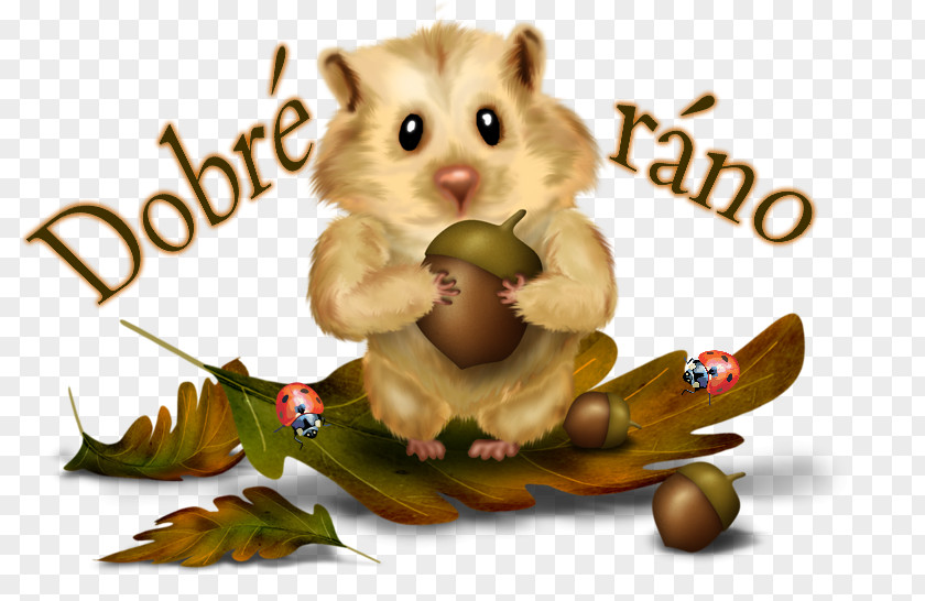 Squirrel Chipmunk Mouse Rodent PNG