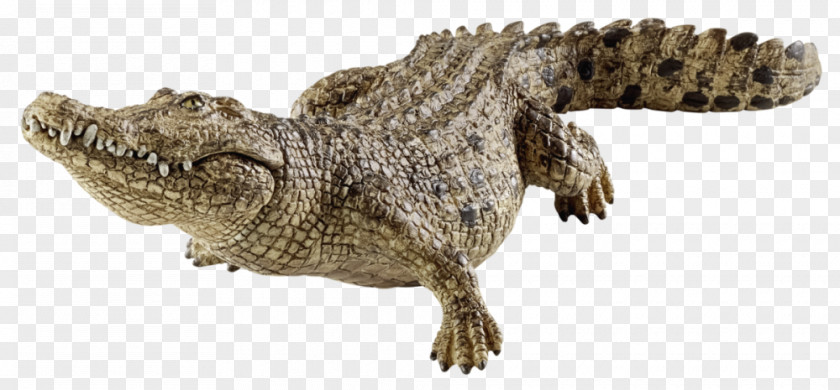 Crocodile Schleich Gr Reptile Toy PNG
