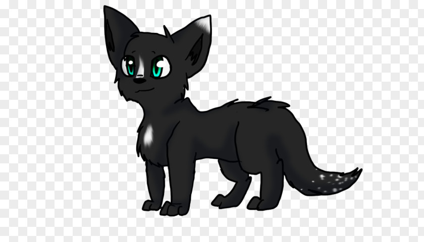 Kitten Whiskers Korat Black Cat Dog PNG