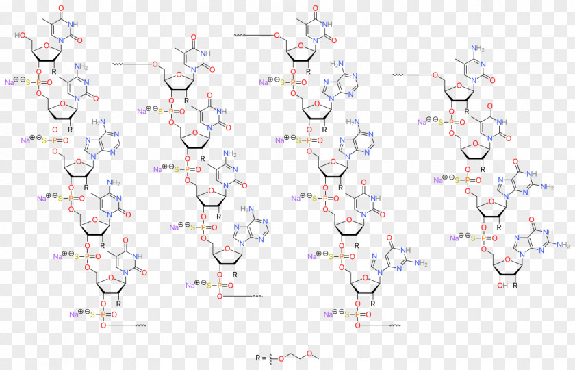Mipomersen Nusinersen Pharmaceutical Drug RNA Oligonucleotide PNG