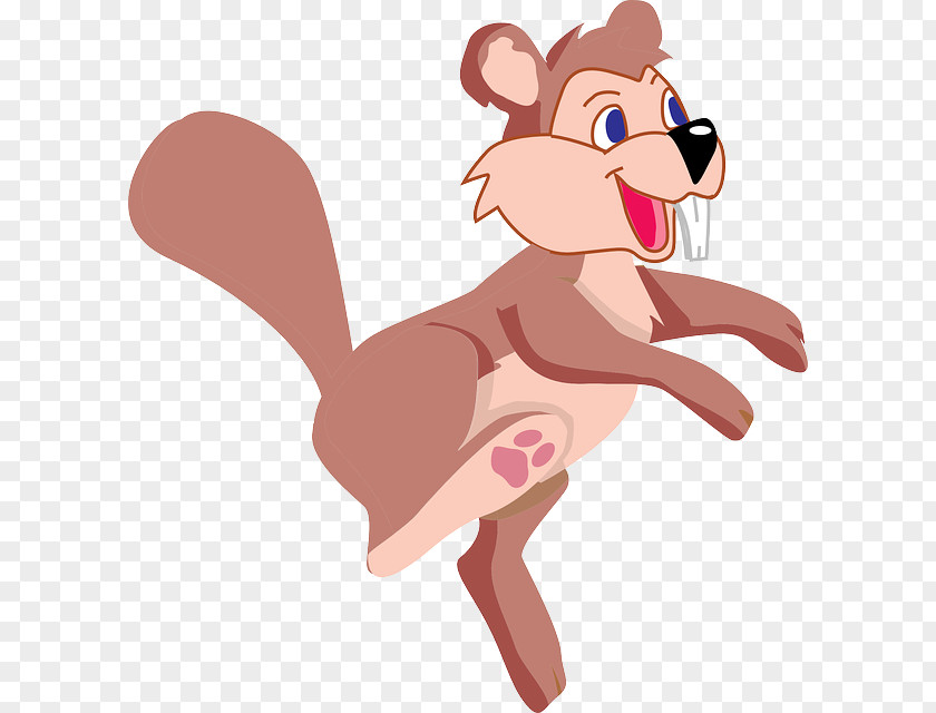 Squirrel Animal Cartoon Dance Clip Art PNG