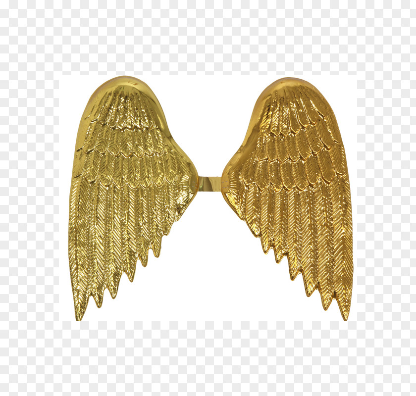 Angel Brouwer Aile Fairy PNG