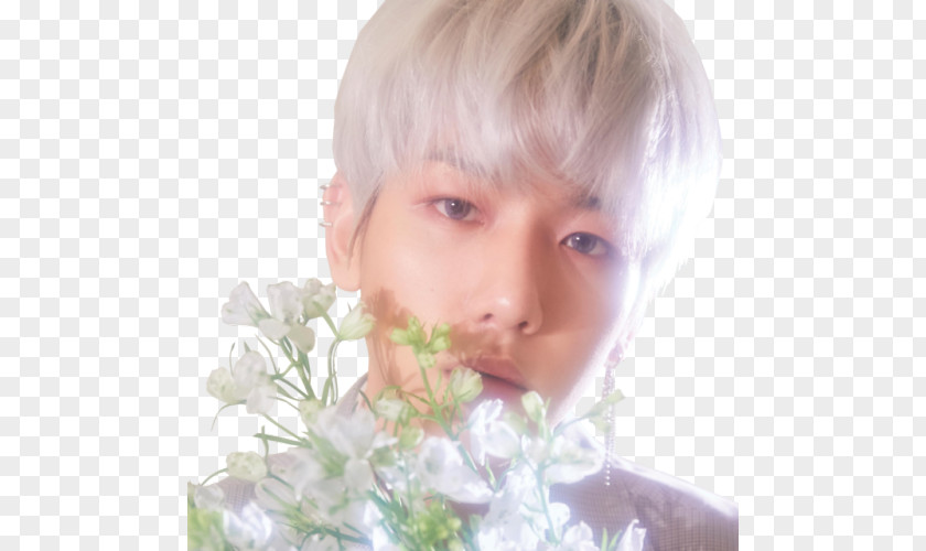 Exo Icon Exo-CBX Blooming Days K-pop PNG