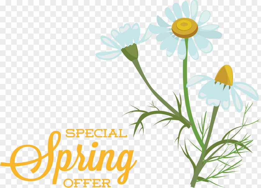 Floral Design PNG