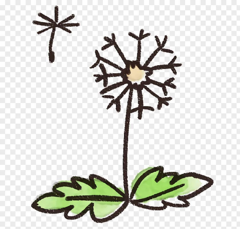 Flower Plant Leaf Stem Wildflower PNG